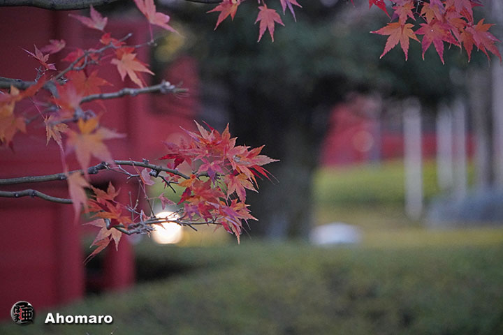 写真00