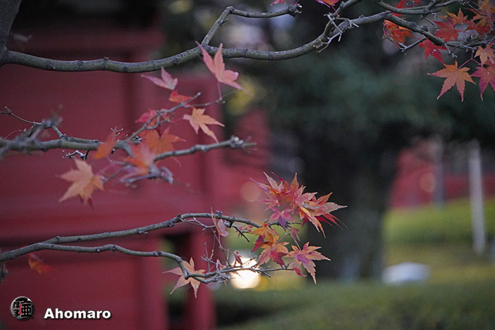 写真00