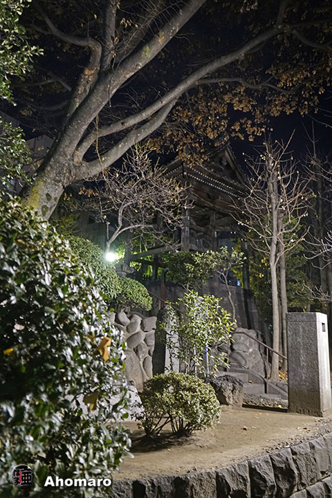 写真00