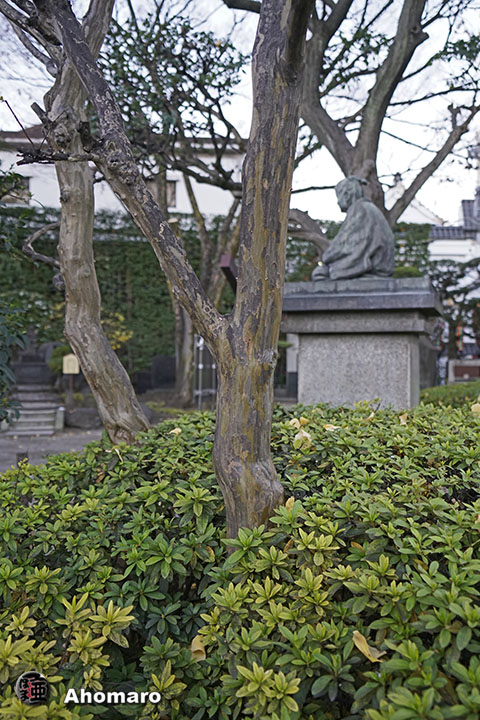 写真00