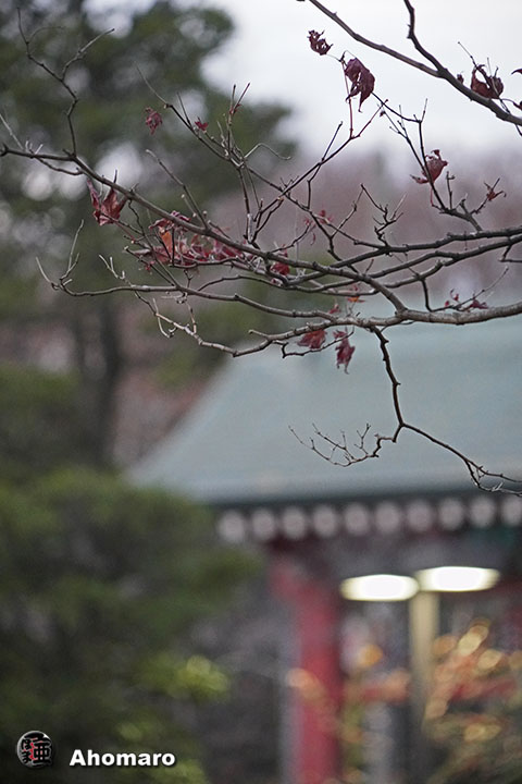 写真00