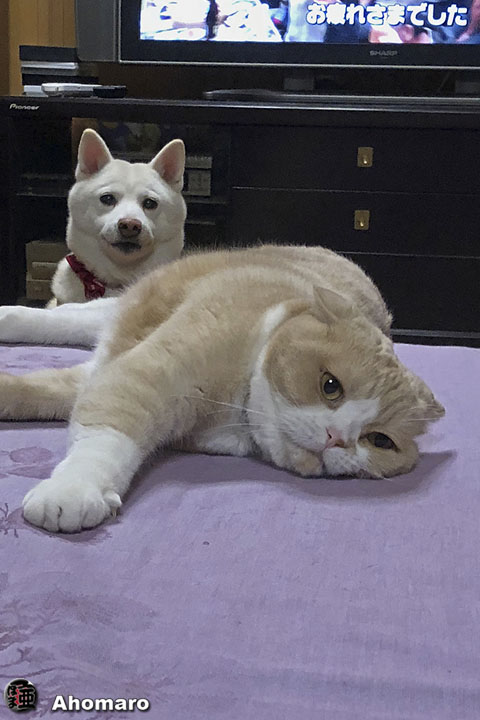 写真00