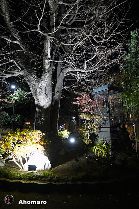 写真00