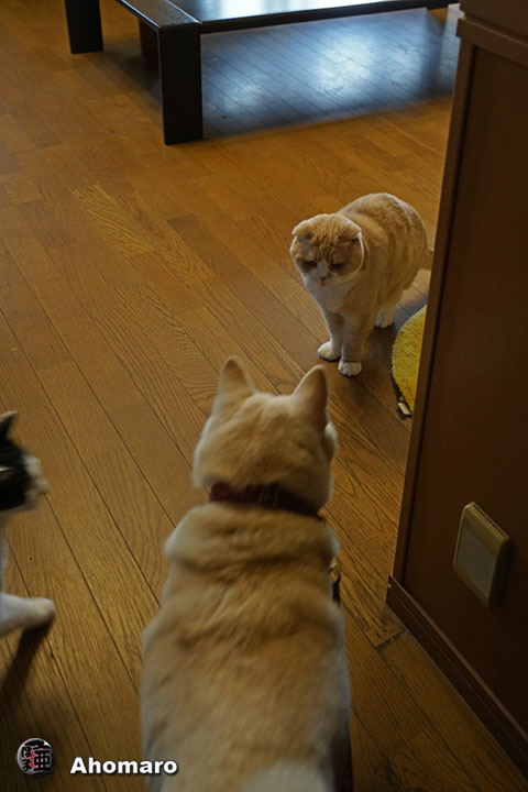 ʐ^00