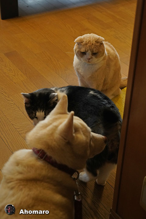 ʐ^00