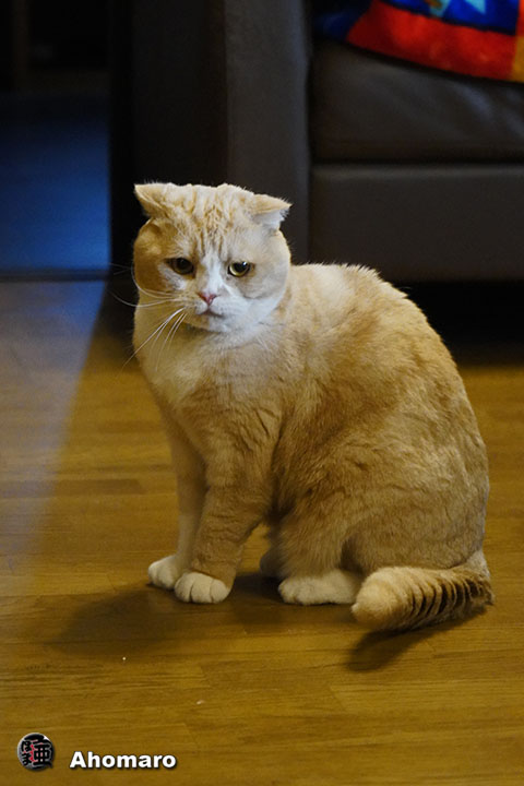 ʐ^00