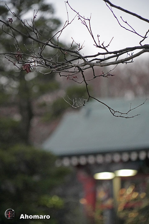 写真00
