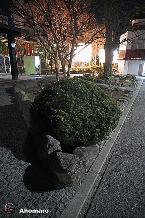 写真00