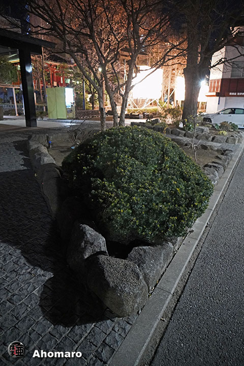 写真00