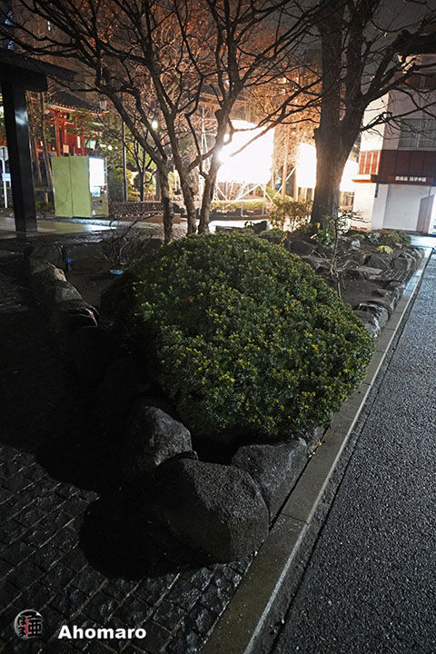 写真00