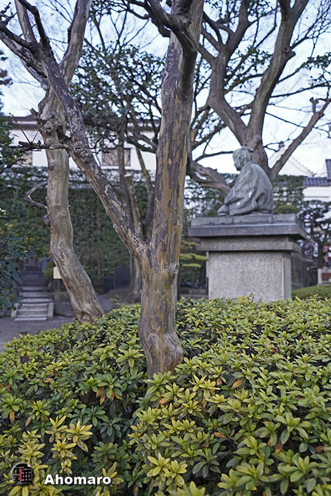 写真00