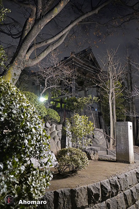 写真00