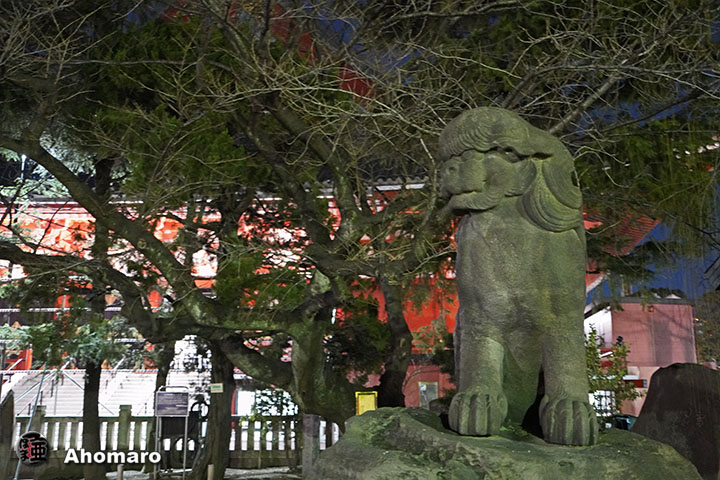 写真00