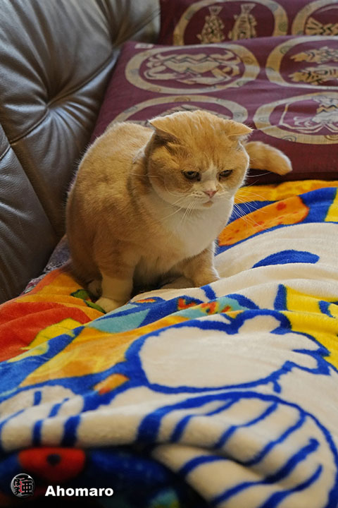 ʐ^00