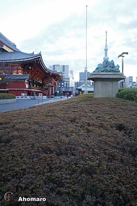 写真00