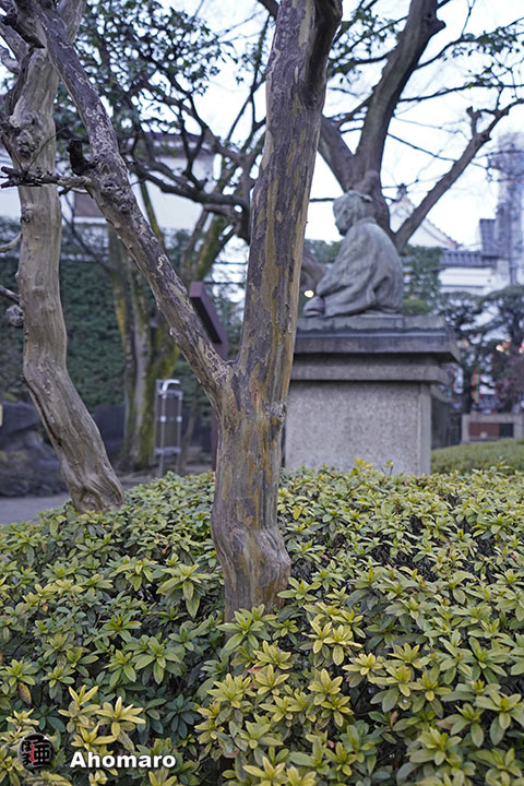 写真00