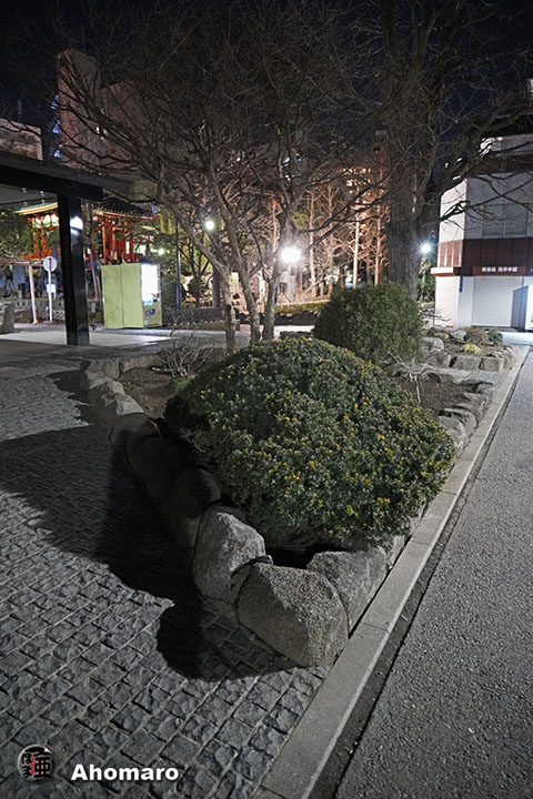 写真00