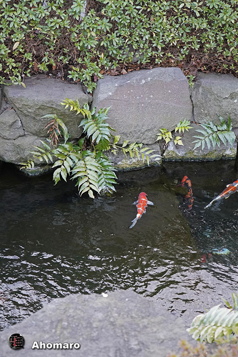 写真00