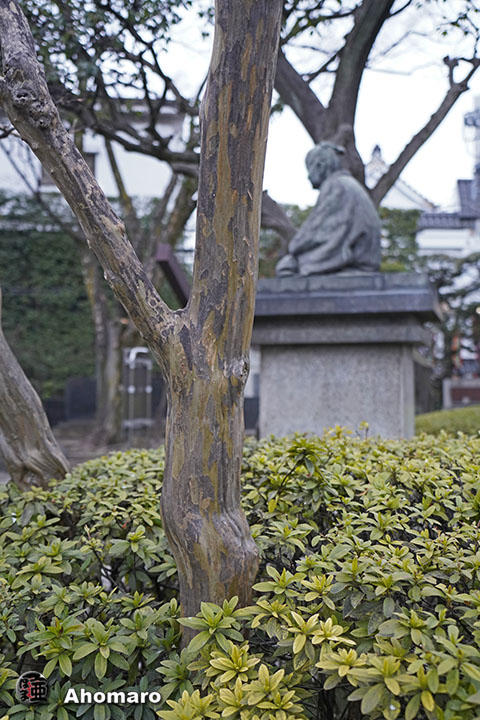 写真00