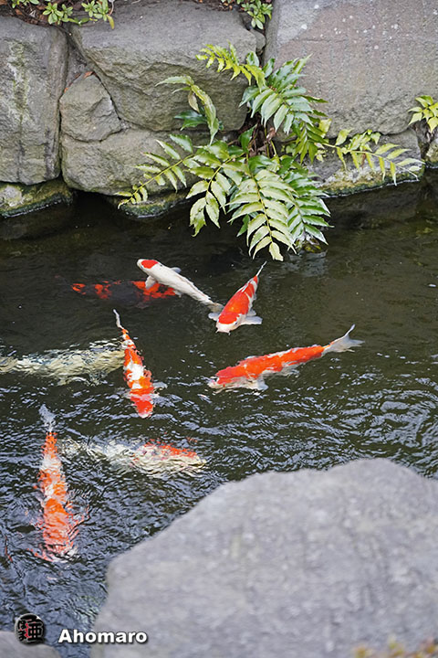 写真00
