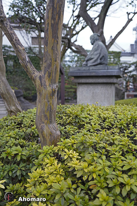 写真00