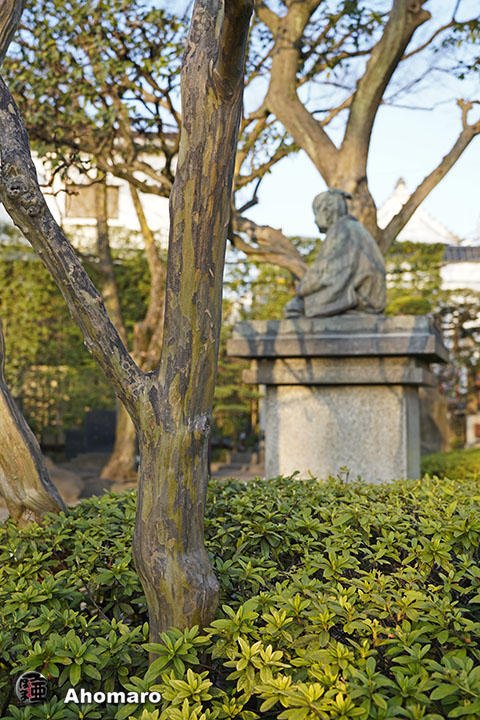 写真00