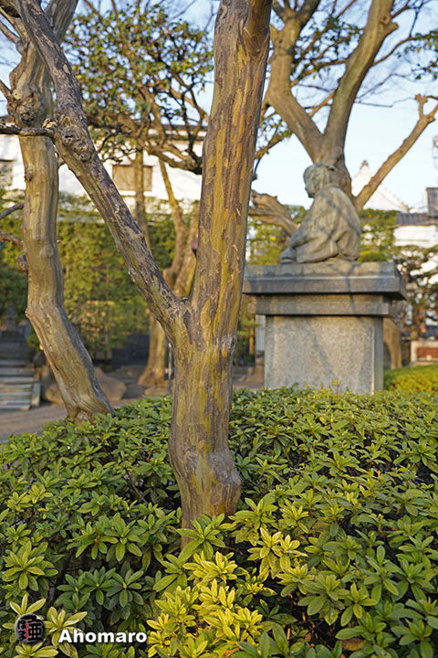 写真00