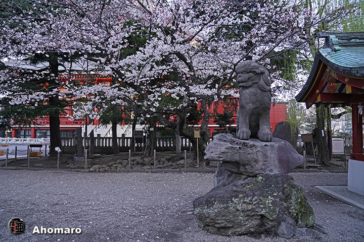 写真00