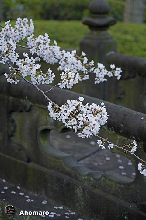写真00
