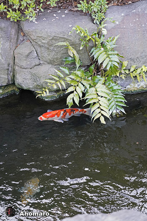 写真00