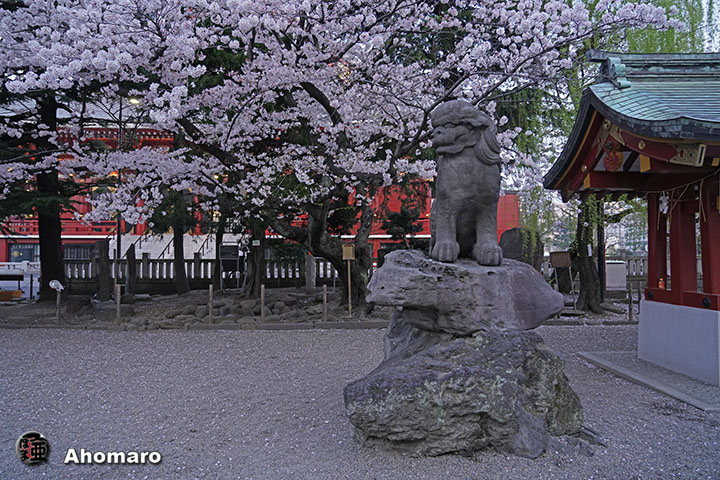 写真00