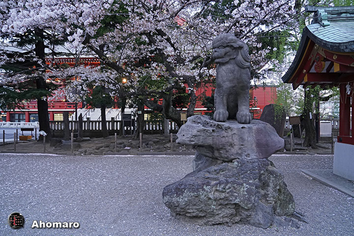 写真00