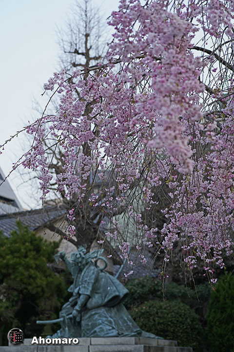 写真00