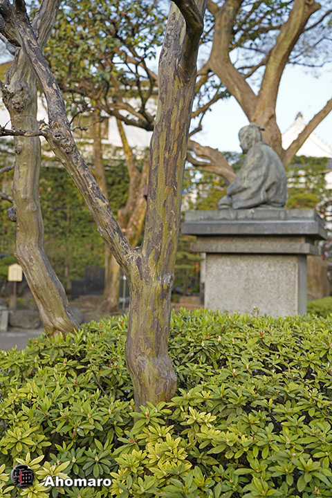 写真00