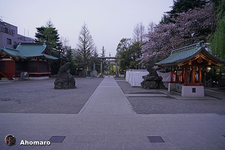 写真00