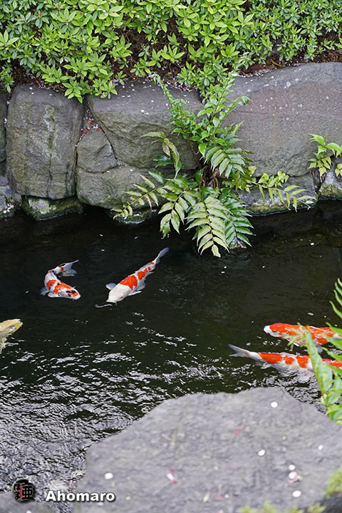 写真00