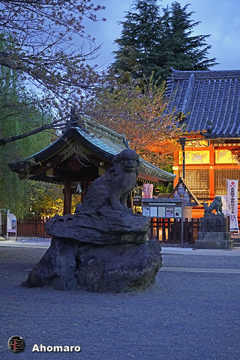 写真00