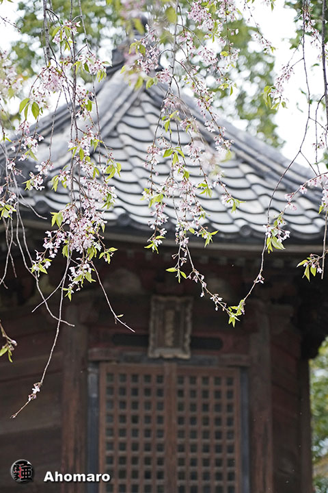 写真00