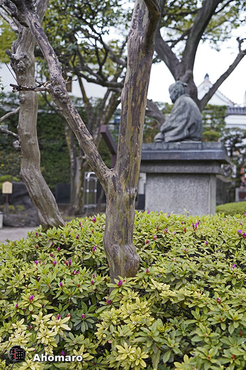 写真00