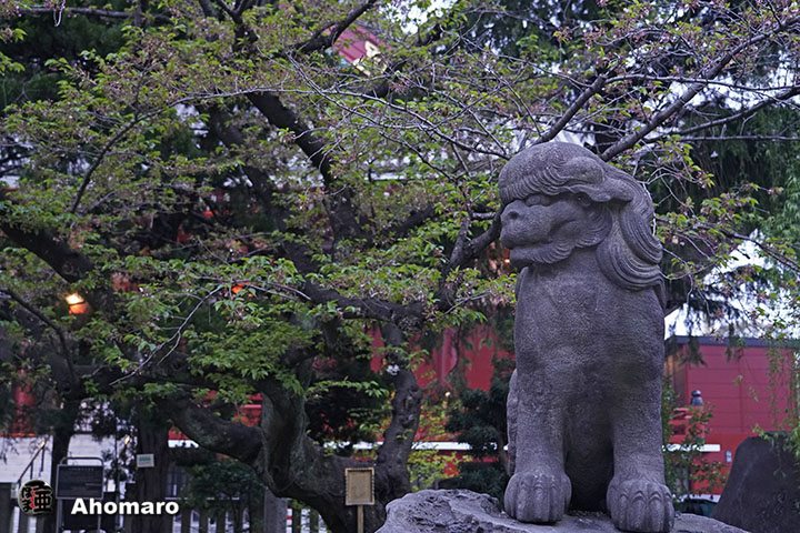 写真00