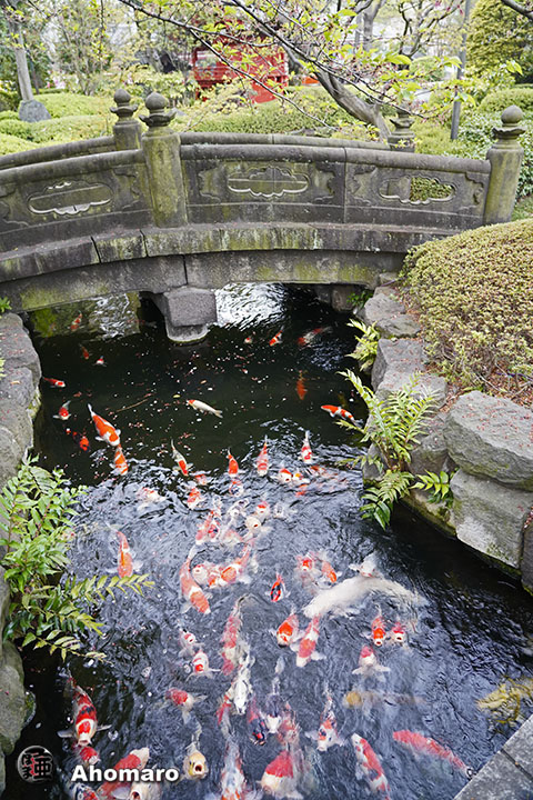 写真00