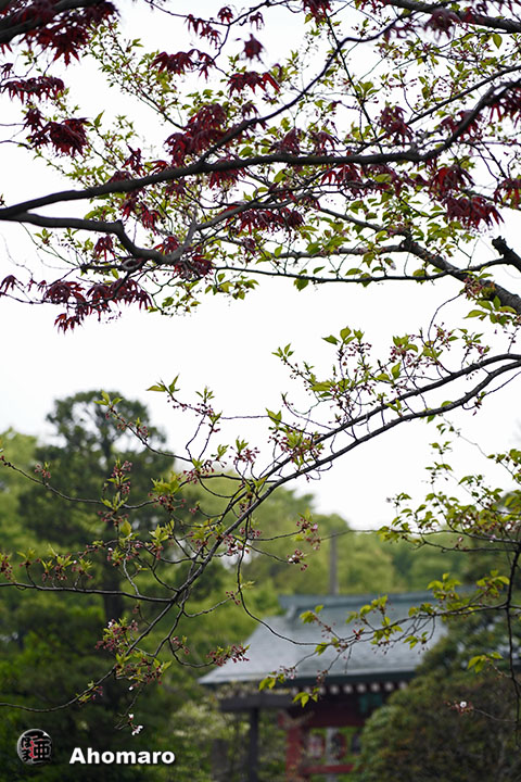 写真00