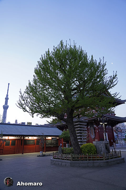 写真00