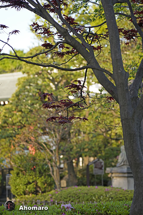写真00