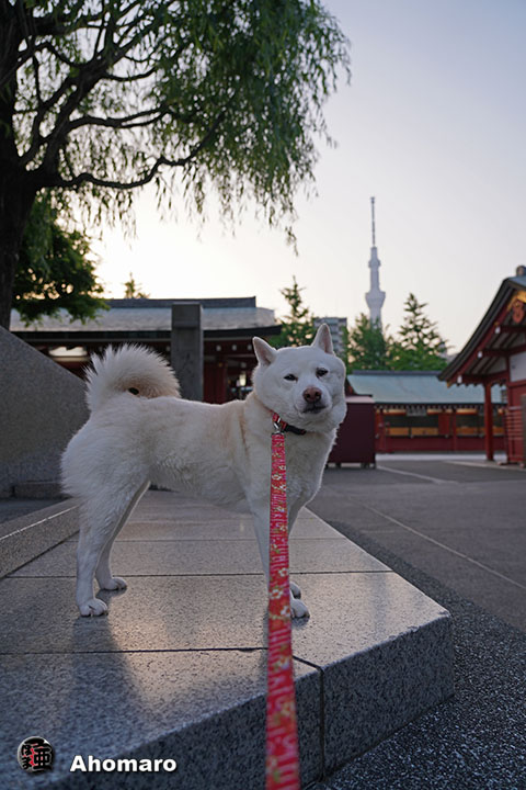 写真00