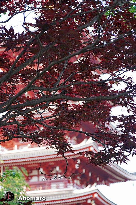 写真00