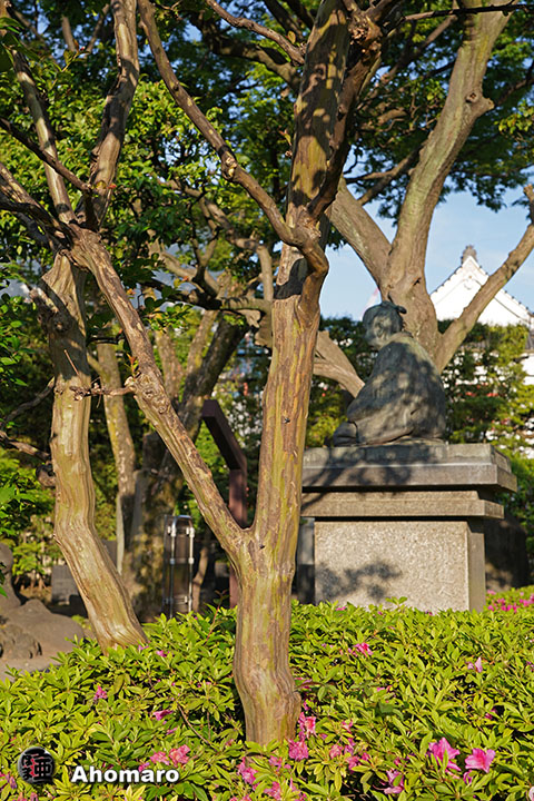 写真00