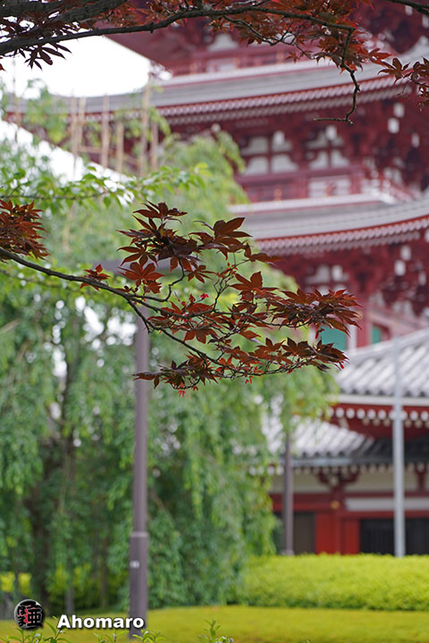 写真00