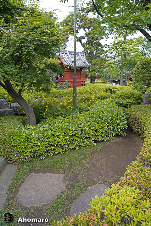 写真00