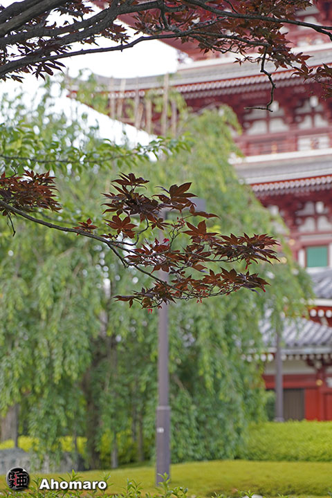 写真00